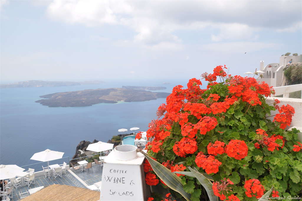 Santorini Greece red flowers caldera