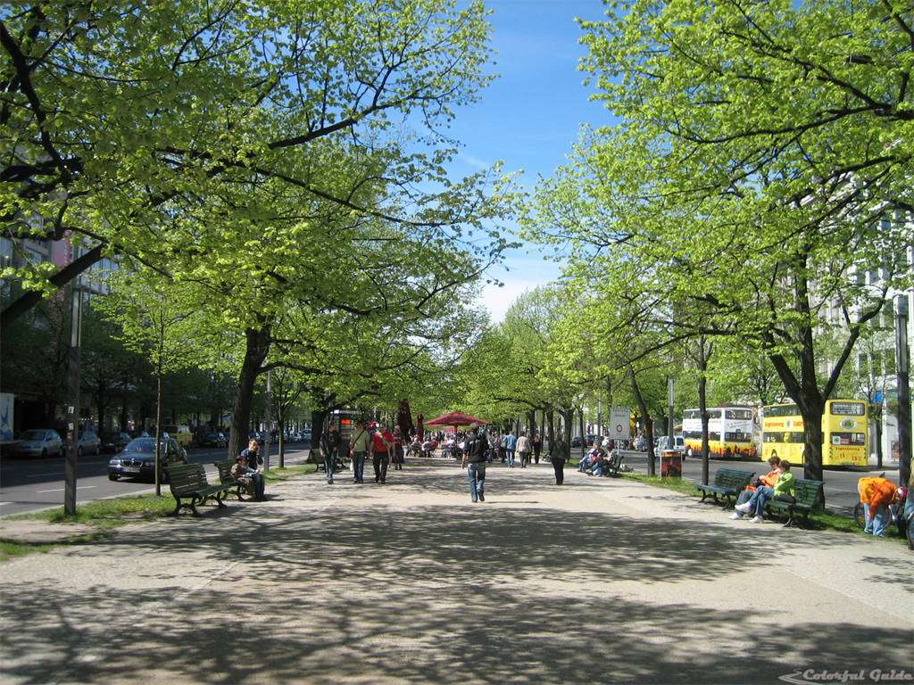 berlin unter linden avenue germany